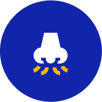 Congestión Nasal